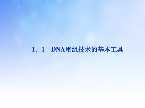 DNA重组技术的基本工具PPT