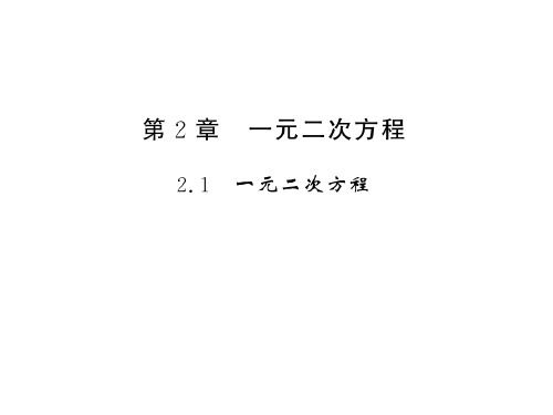 秋湘教版九年级数学上册习题课件：2.1一元二次方程 (共13张PPT)