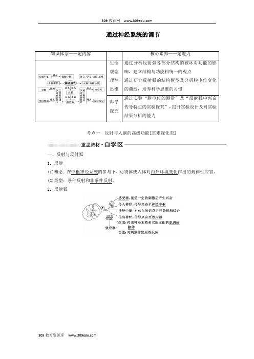 高考生物一轮复习第八单元第二讲通过神经系统的调节讲义(含解析)