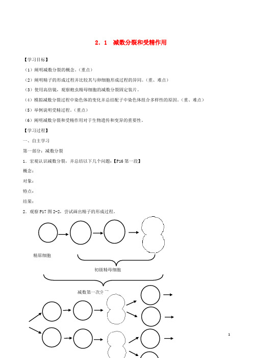 高中生物 第2章 基因和染色体的关系学案 新人教版必修2