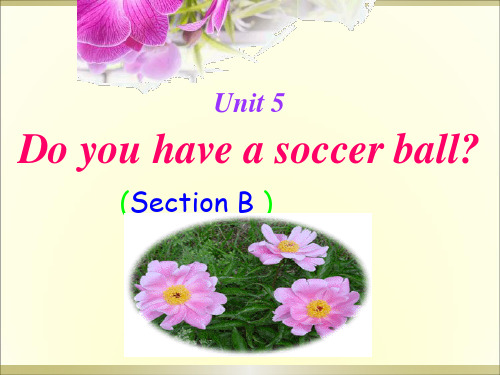 七年级英语Do you have a soccer ball课件sectionB