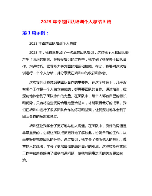 2023年卓越团队培训个人总结5篇