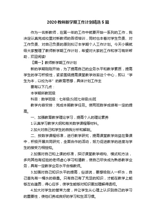 2020教师新学期工作计划精选5篇