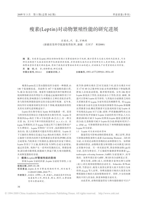 瘦素_Leptin_对动物繁殖性能的研究进展