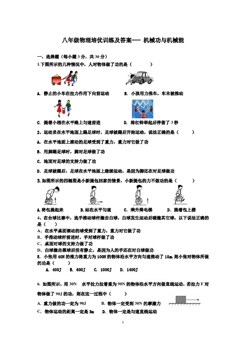 八年级物理培优训练及答案--- 机械功与机械能