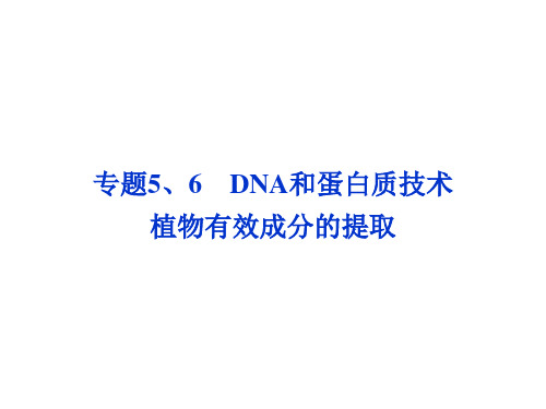 【优化方案 人教】2015届高考生物一轮复习课件 选修1专题5、6