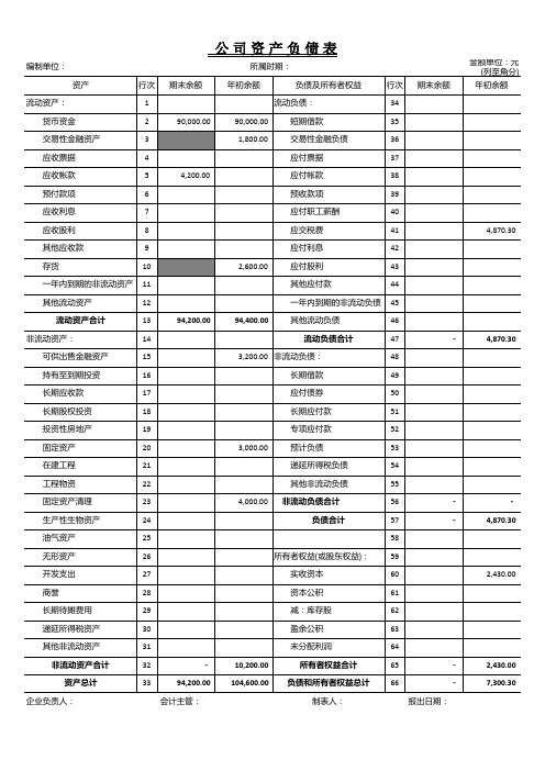 百袖女装：公司财务报表