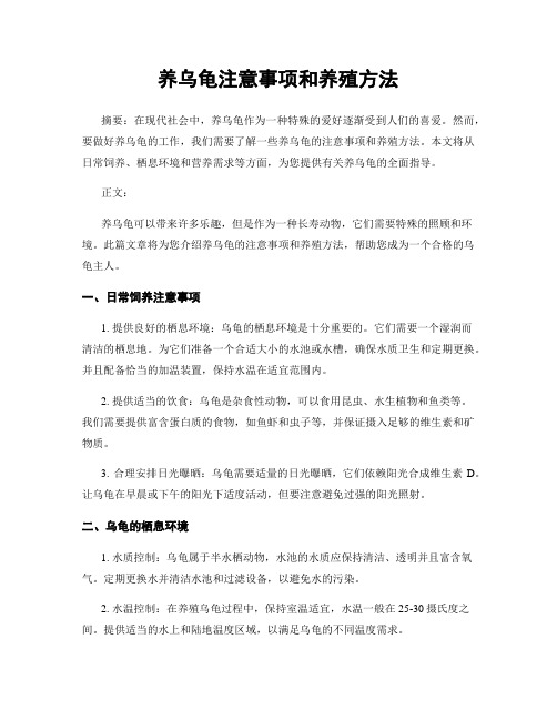 养乌龟注意事项和养殖方法