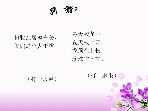 水果的秘密