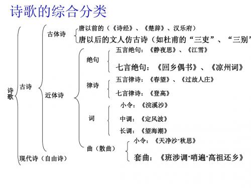 诗歌鉴赏之练字
