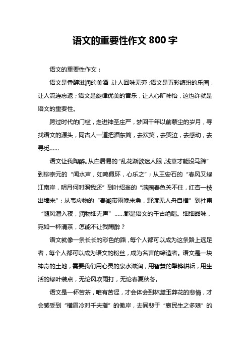 语文的重要性作文800字