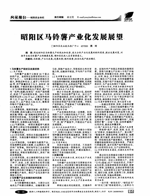 昭阳区马铃薯产业化发展展望