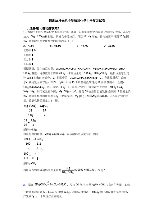 深圳坑梓光祖中学初三化学中考复习试卷