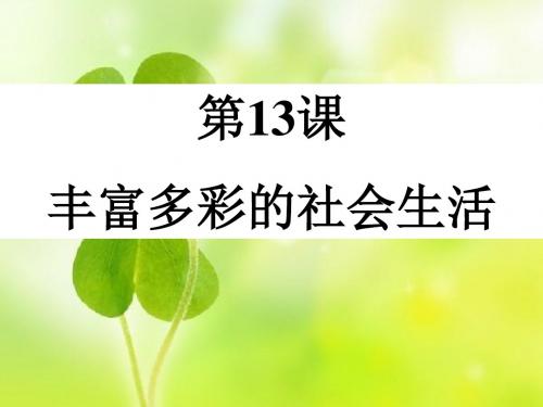 【初中历史】丰富多彩的社会生活ppt6 北师大版
