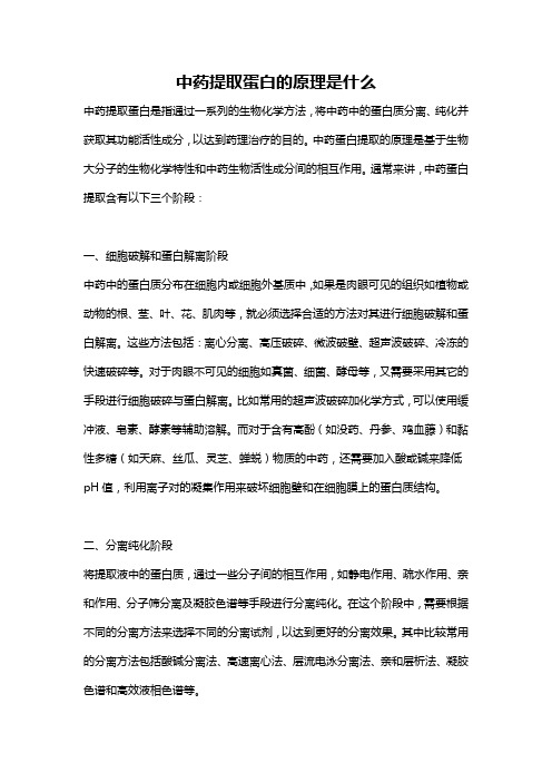 中药提取蛋白的原理是什么