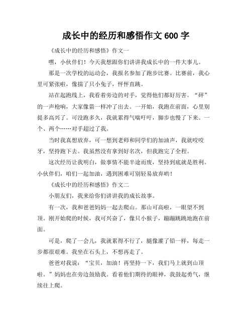 成长中的经历和感悟作文600字