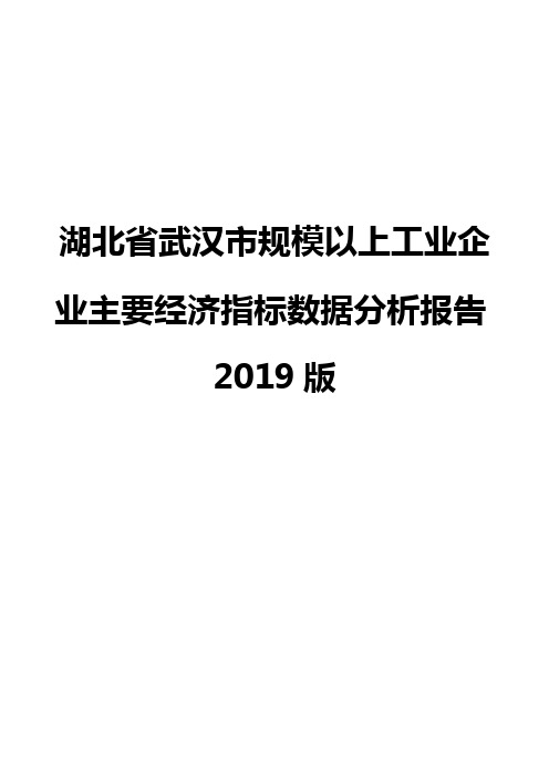 湖北省武汉市规模以上工业企业主要经济指标数据分析报告2019版