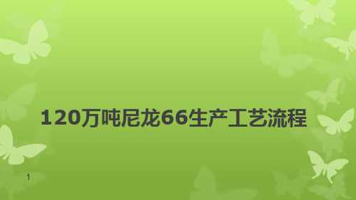 120万吨尼龙66生产工艺流程ppt课件