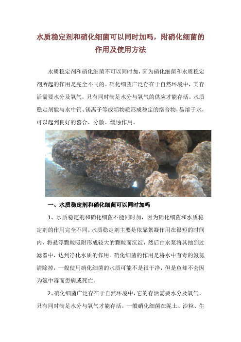 水质稳定剂和硝化细菌可以同时加吗,附硝化细菌的作用及使用方法