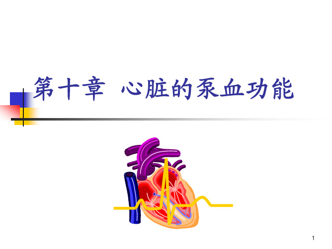 生理学课件-04第10章心脏的泵血功能