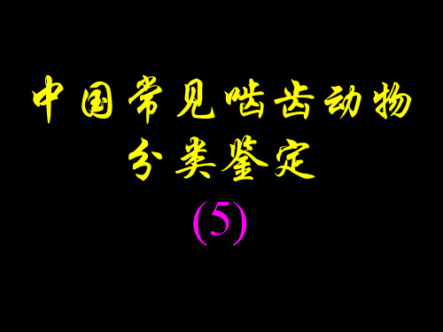 中国常见啮齿动物分类鉴定五[学习培训]