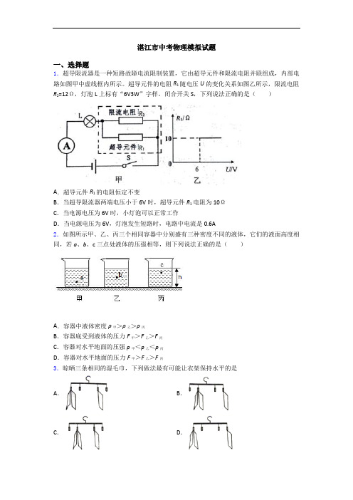 湛江市中考物理模拟试题