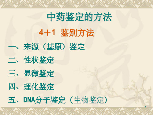 中药的性状鉴定PPT课件