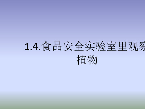 冀少版生物七年级下册1.4《食品安全》课件 (共19张PPT)