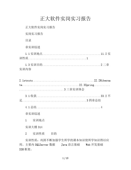 正大软件实岗实习报告