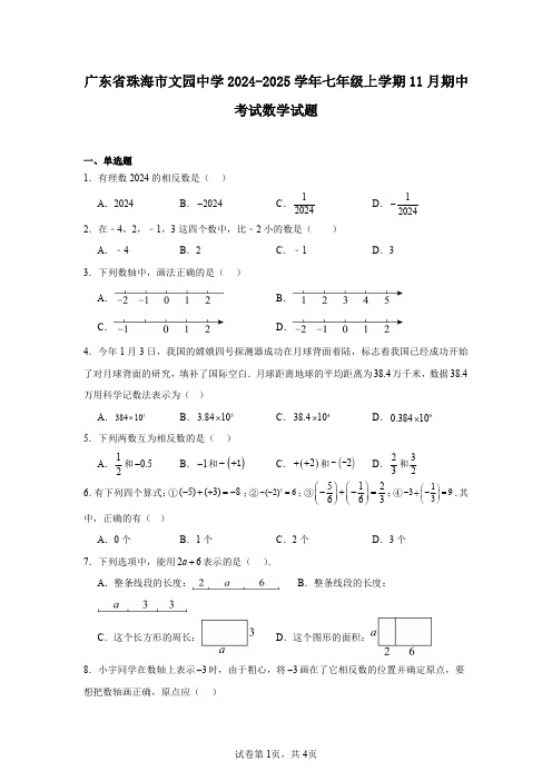 广东省珠海市文园中学2024-2025学年七年级上学期11月期中考试数学试题