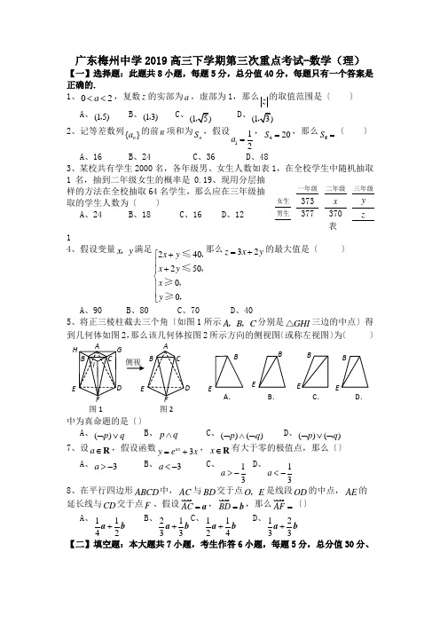 广东梅州中学2019高三下学期第三次重点考试-数学(理)