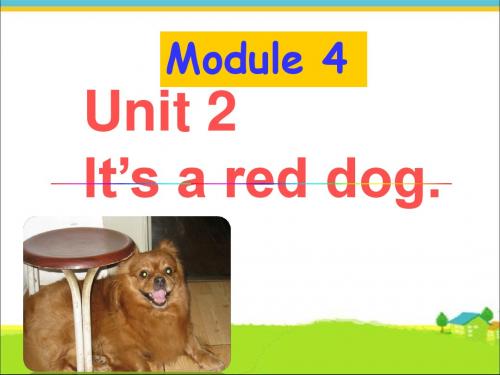 一年级上册英语课件-Module 4 Unit 2 It's a red dog 2｜外研社(一起)(共22张PPT)