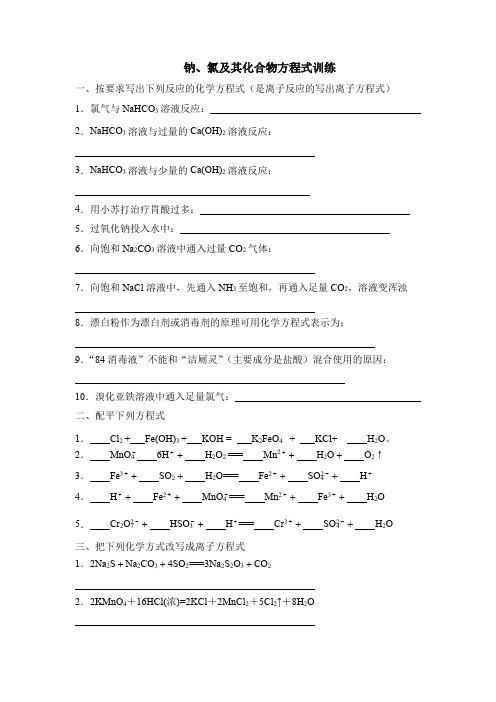 钠、氯及其化合物方程式训练