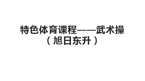 课后服务之体育课程 23武术操(旭日东升)