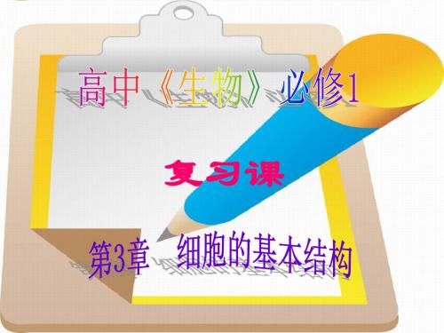 高中生物必修一第3、4章复习课件(必修1)教学课件