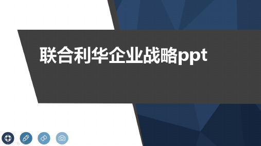 联合利华企业战略ppt