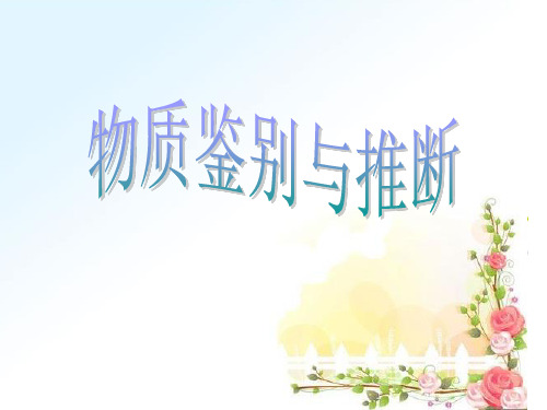 初中科学浙教版九上物质的推断和鉴别