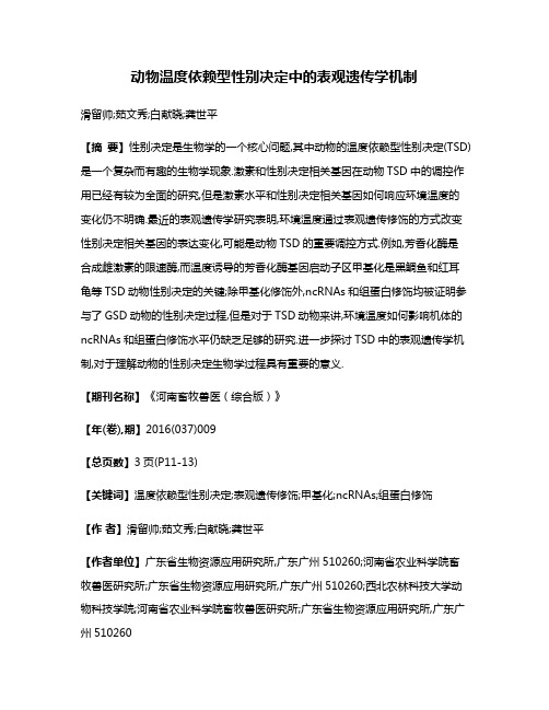 动物温度依赖型性别决定中的表观遗传学机制