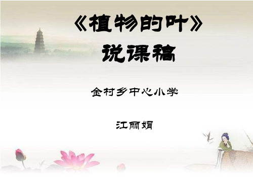 《植物的叶》说课稿 PPT