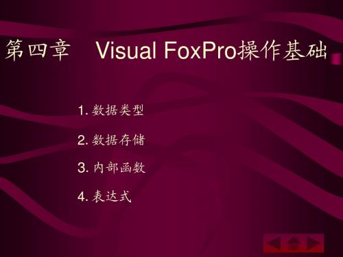 Visual FoxPro操作基础