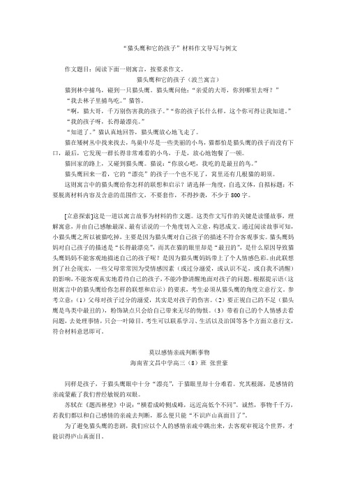 23“猫头鹰和它的孩子”材料作文导写与示例