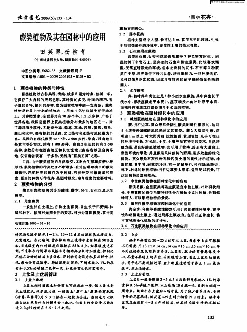 蕨类植物及其在园林中的应用