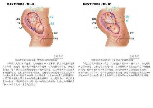 准妈妈第九月