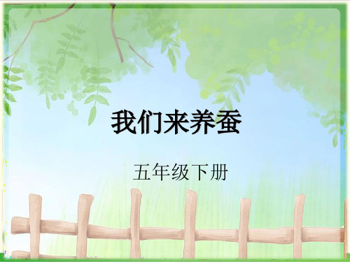 粤教版《养蚕》专家课件1