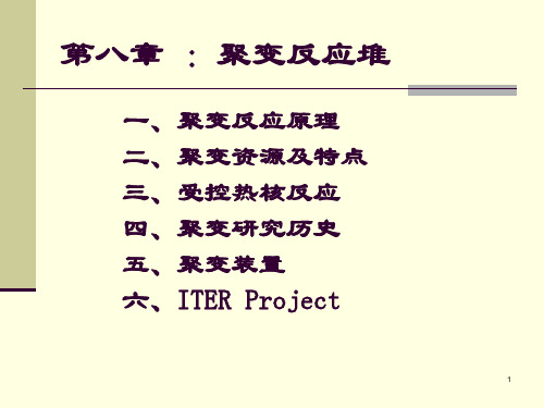 聚变堆(内部精品资料)ppt课件