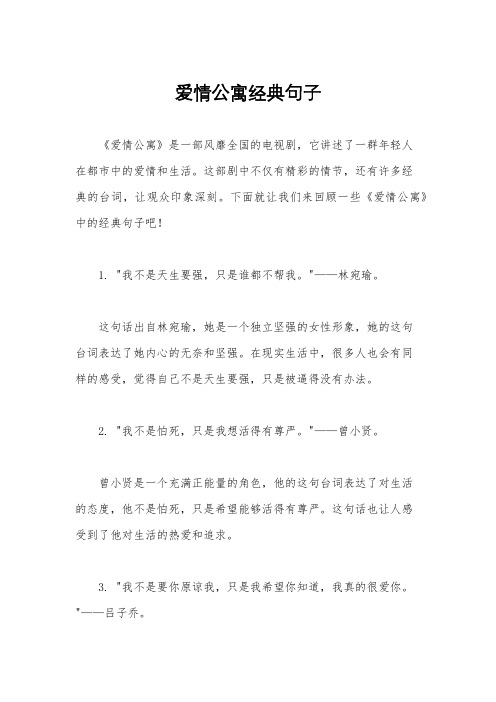 爱情公寓经典句子