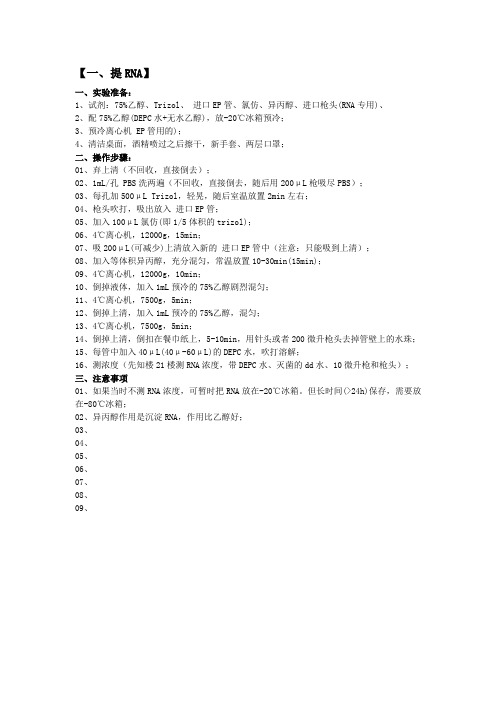 提RNA 逆转录 qRT CR步骤