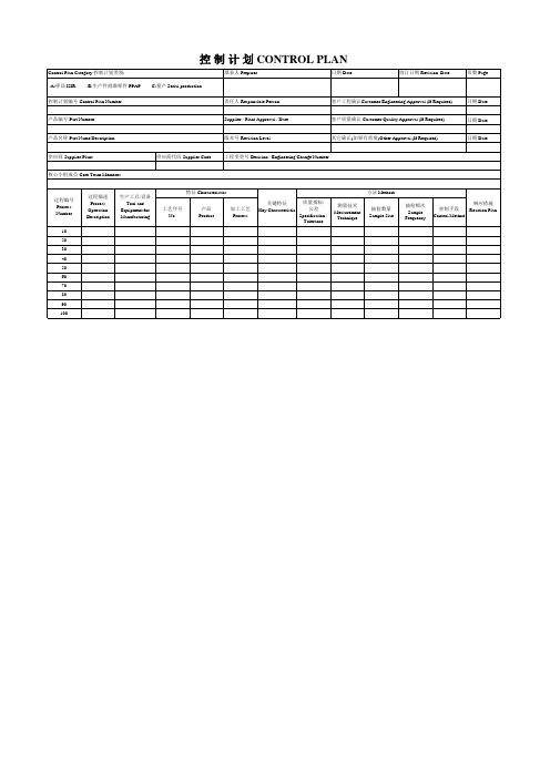 PPAP中英文报告模板-11.控制计划