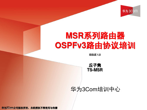 MSR系列路由器-OSPFv3介绍