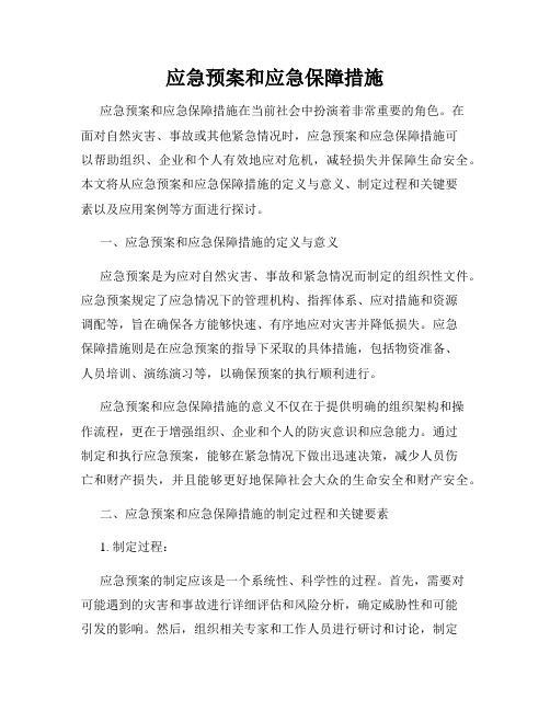 应急预案和应急保障措施